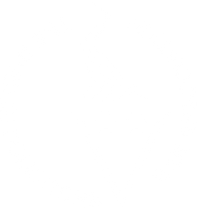 The Dublin Solicitors Bar Association