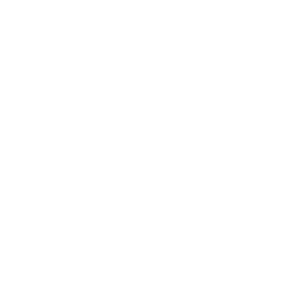 The Dublin Solicitors Bar Association