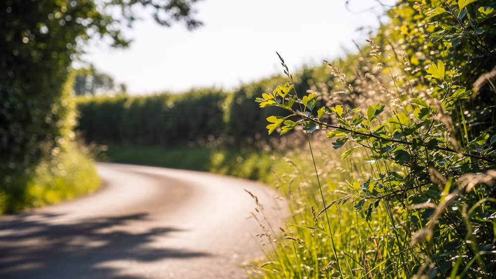 The Valproate Families: The stories of the families affected by Sodium Valproate in Ireland