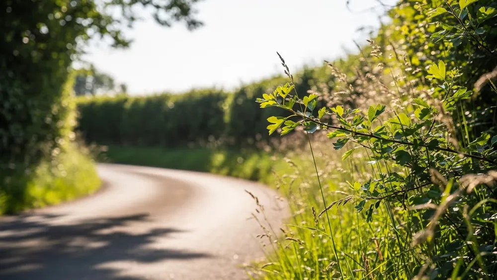 The Valproate Families: The stories of the families affected by Sodium Valproate in Ireland