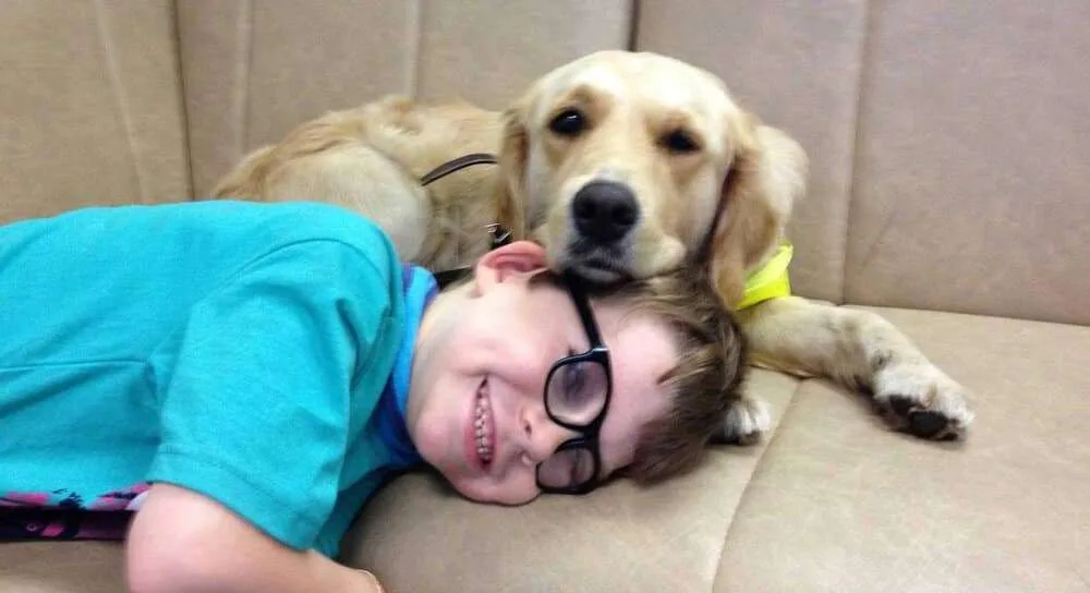 Disabled boy secures further €3 million payment over circumstances of his birth